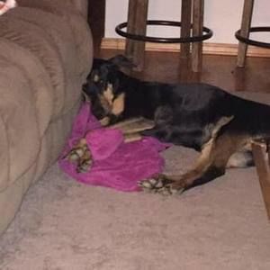 Meet your Posher, Diane